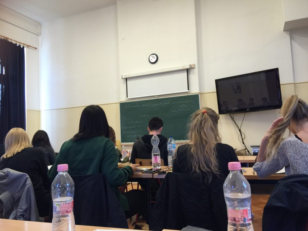 کالج مک دنیل مجارستان