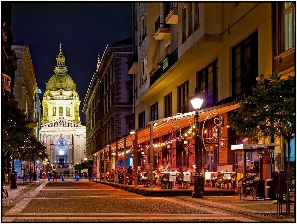 تحصیل پزشکی در مجارستان